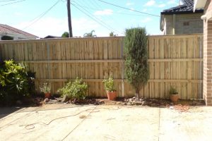 treated-pine-fence-1[1]